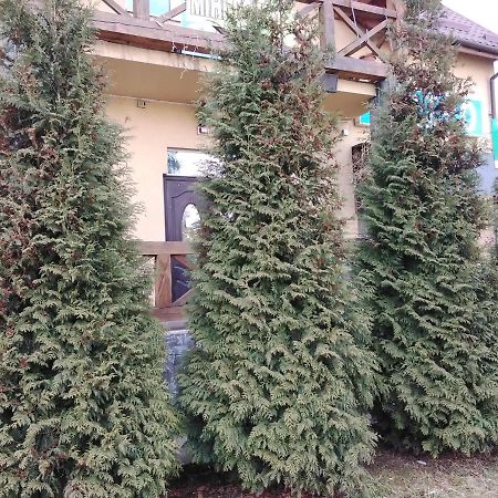 Mini-Hotel Ивано-Франкивск Екстериор снимка